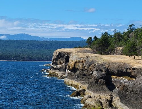 Why Taking Vacations Is an Essential Part of Organizational Success